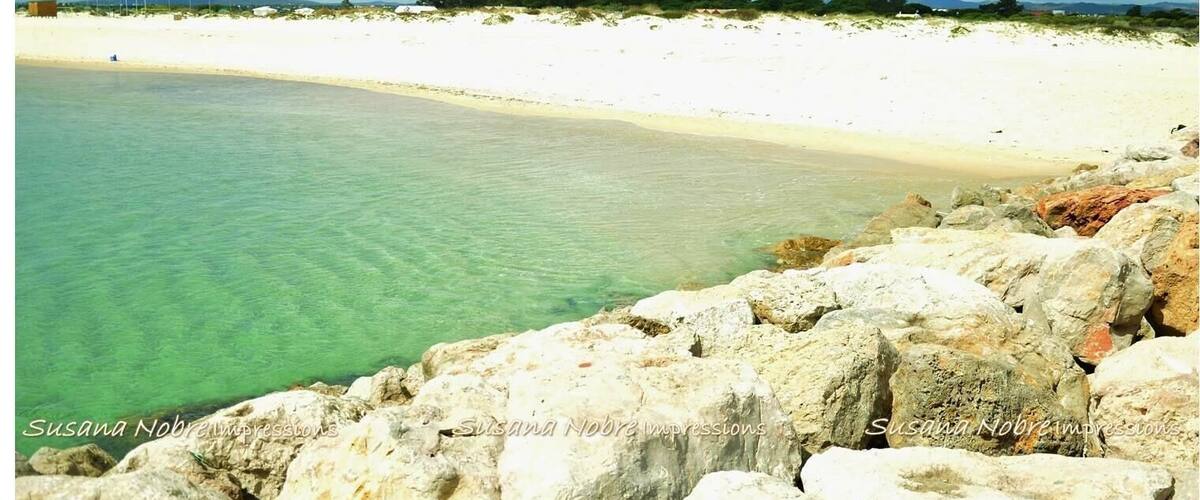 Tavira Island, Algarve - Portugal.
Tavira Island (Portuguese: Ilha de Tavira) is found South of the city and can only be reached by boat, which departs from the city center and from Quatro-Aguas. The Island is 11Km long and varies between 1Km and 150m width. It's considered to be one of the best beaches in the Algarve Region, and it includes areas where naturism can be practised without problems. The Island belongs to the Ria Formosa Natural Reserve, which is popular it's birds and flamingos, a delight for bird lovers.
The access to Tavira Island is provided by boats from Quatro Ăguas peer in Tavira. The parking areas are fairly large and organised. The beach has basic support facilities, like restaurants and toilets, and is supervised during the bathing season. This beach often holds the blue flag, proof of its environmental quality and superiority.
The Island includes a Camping Park and restaurants, which makes the place one of the most popular tourism destinies for Camping lovers. #nationalpark #riaformosa #taviraisland #Algarve #Portugal #Beach #NaturalReserve #campingpark #ecology #bestSpots #sportactivities #landscape #naturespot