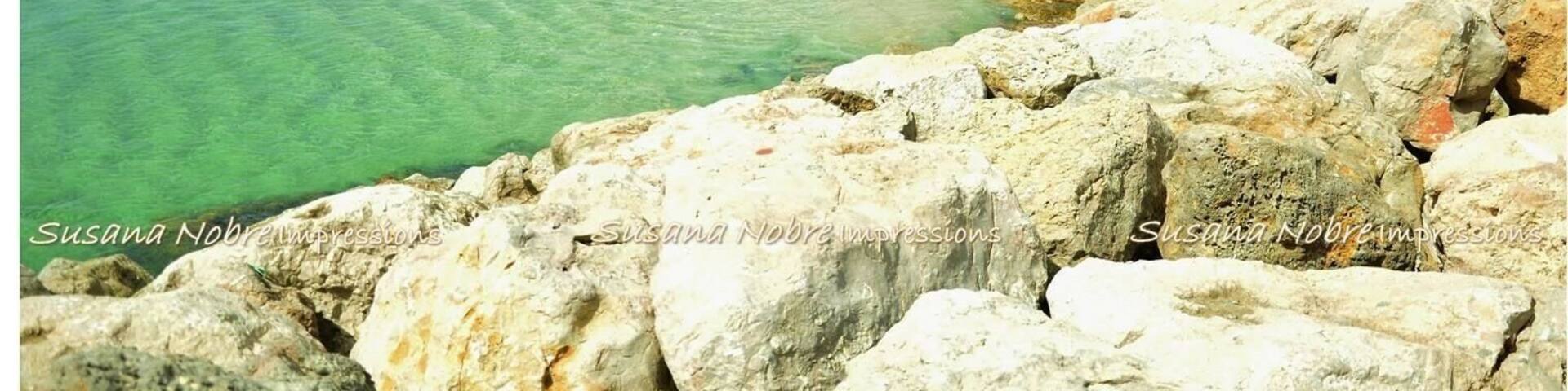 Tavira Island, Algarve - Portugal.
Tavira Island (Portuguese: Ilha de Tavira) is found South of the city and can only be reached by boat, which departs from the city center and from Quatro-Aguas. The Island is 11Km long and varies between 1Km and 150m width. It's considered to be one of the best beaches in the Algarve Region, and it includes areas where naturism can be practised without problems. The Island belongs to the Ria Formosa Natural Reserve, which is popular it's birds and flamingos, a delight for bird lovers.
The access to Tavira Island is provided by boats from Quatro Ăguas peer in Tavira. The parking areas are fairly large and organised. The beach has basic support facilities, like restaurants and toilets, and is supervised during the bathing season. This beach often holds the blue flag, proof of its environmental quality and superiority.
The Island includes a Camping Park and restaurants, which makes the place one of the most popular tourism destinies for Camping lovers. #nationalpark #riaformosa #taviraisland #Algarve #Portugal #Beach #NaturalReserve #campingpark #ecology #bestSpots #sportactivities #landscape #naturespot