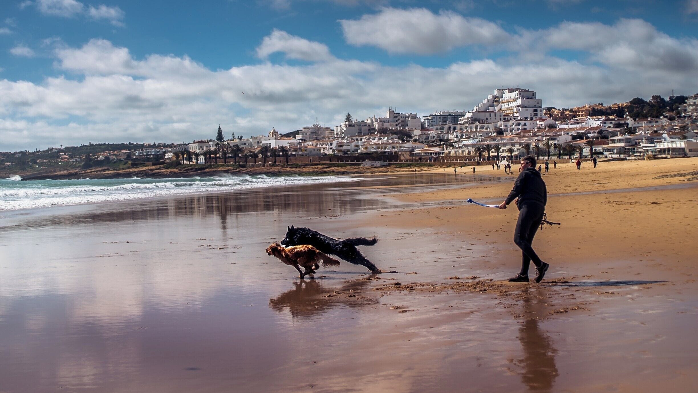 This is a shot I took on Praia da Luz beach in Portugal. The tide was going out on a beautiful spring morning , as a man through a ball for his super keen dogs
#BvSApplication 