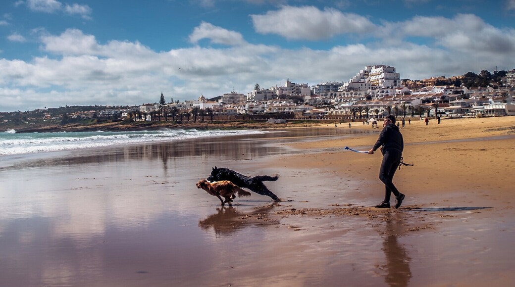 This is a shot I took on Praia da Luz beach in Portugal. The tide was going out on a beautiful spring morning , as a man through a ball for his super keen dogs
#BvSApplication