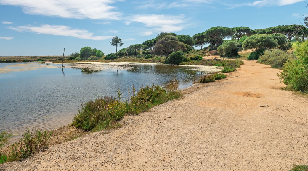 Quinta do Lago