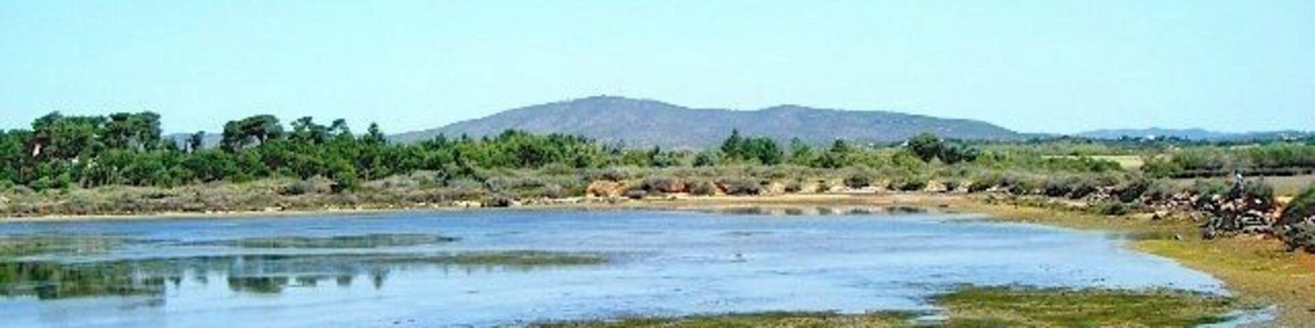 Most people travel to the South of Portugal to spend time at the beaches of the Algarve. But beyond that... there is so much more to be explored! Ria Formosa, an immense (and picturesque!) body of water, is a great place for walks and wildlife spotting! #localgem
