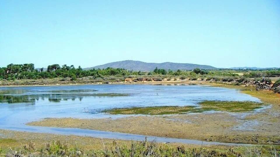 Most people travel to the South of Portugal to spend time at the beaches of the Algarve. But beyond that... there is so much more to be explored! Ria Formosa, an immense (and picturesque!) body of water, is a great place for walks and wildlife spotting! #localgem