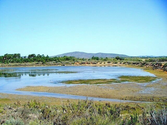 A river with surrounding vegetation and distant hills.