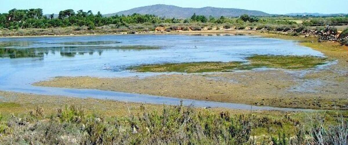A river with surrounding vegetation and distant hills.