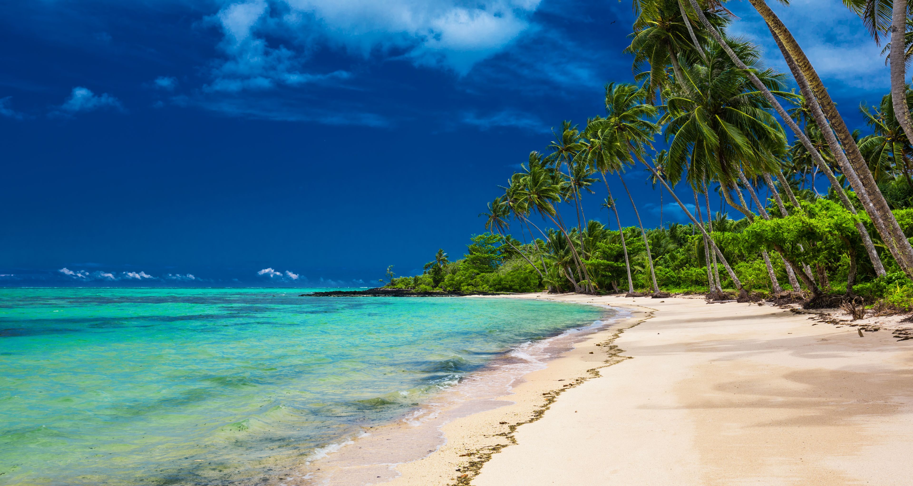 Ein tropischer Strand mit klarem türkisblauem Wasser, Sandstrand und hohen Palmen.