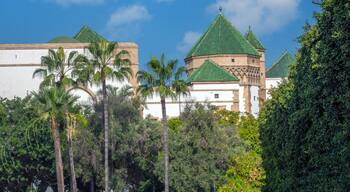 Green spaces, palm trees and elegant traditional architecture in the Habous