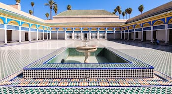 Riad Zitoun Jdid