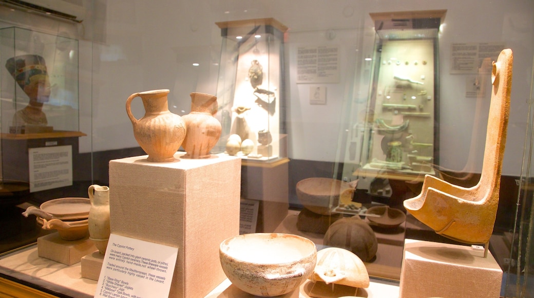 Museum of Underwater Archaeology which includes interior views