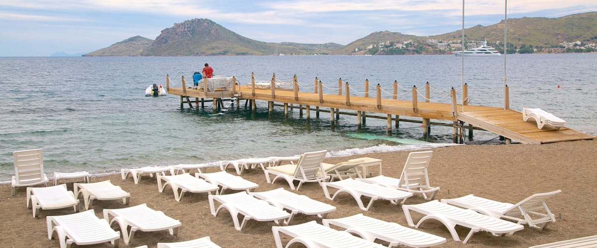 Plage de Poniente qui includes vues littorales et plage de galets