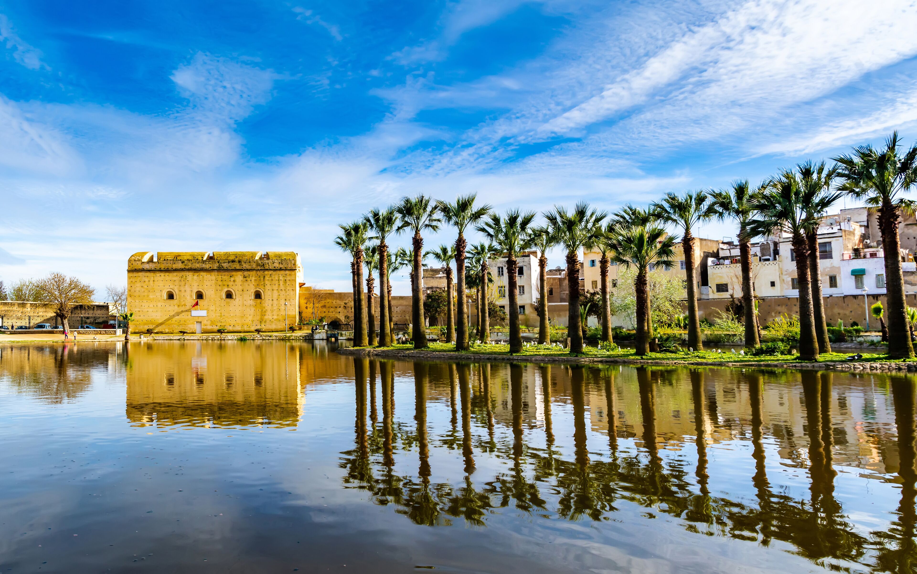 Beautiful Jnan Sbil or Bou Jeloud garden, Royal Park in Fez with lake and palms. Location: Fez, Morocco, Africa. Artistic picture. Beauty world