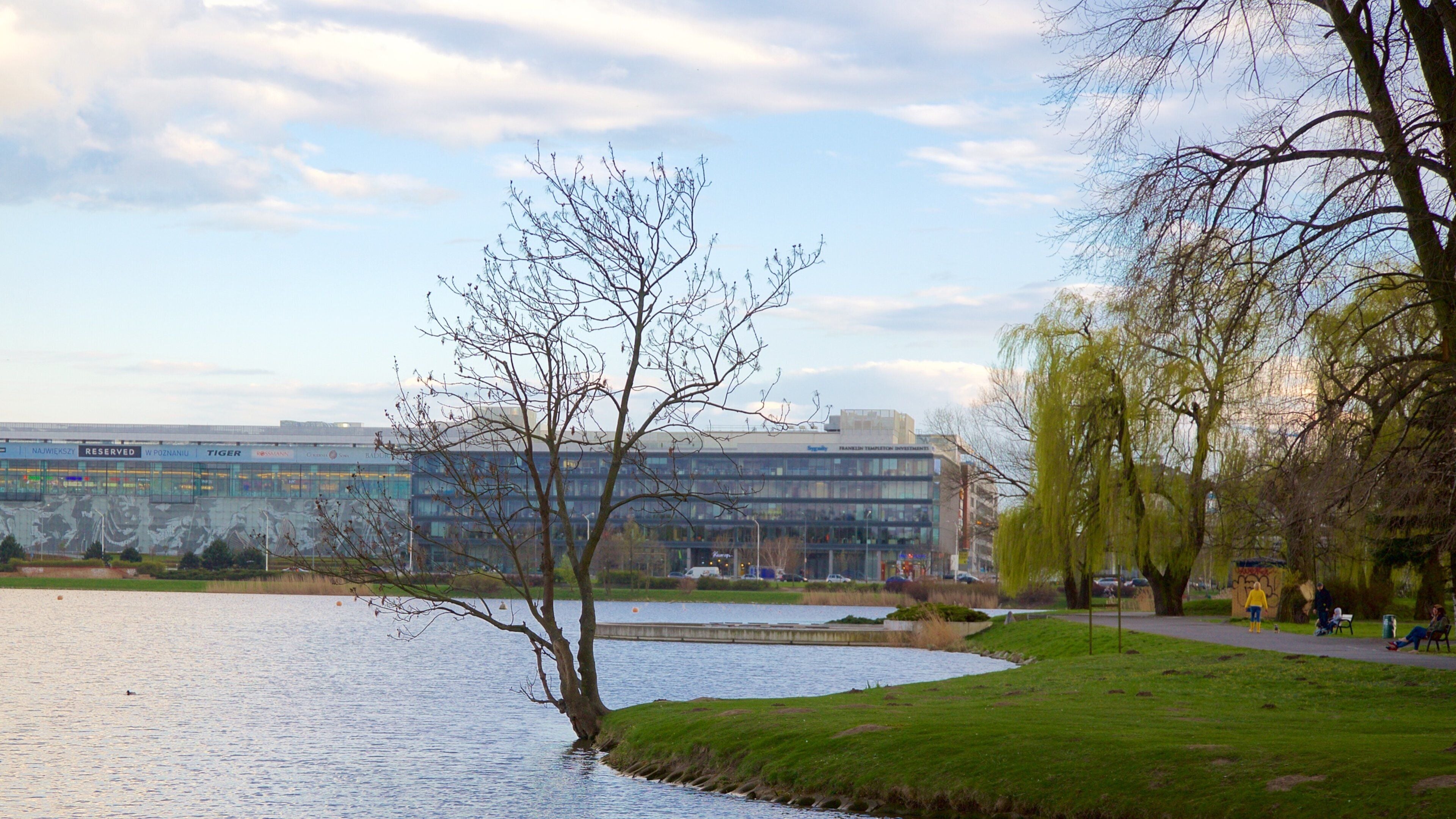 Malta Lake showing a park and a lake or waterhole
