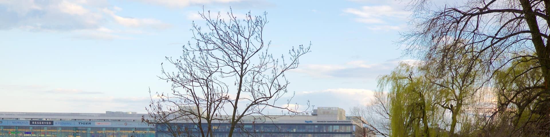 Malta Lake showing a park and a lake or waterhole
