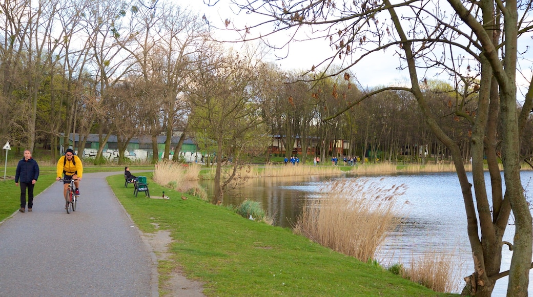 Malta Lake ซึ่งรวมถึง ทะเลสาบหรือแอ่งน้ำ และ สวน