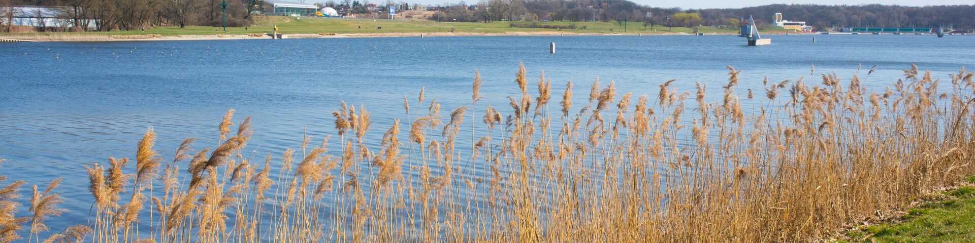 Beautiful view of the Malta lake from dry plants in Poznan, Poland