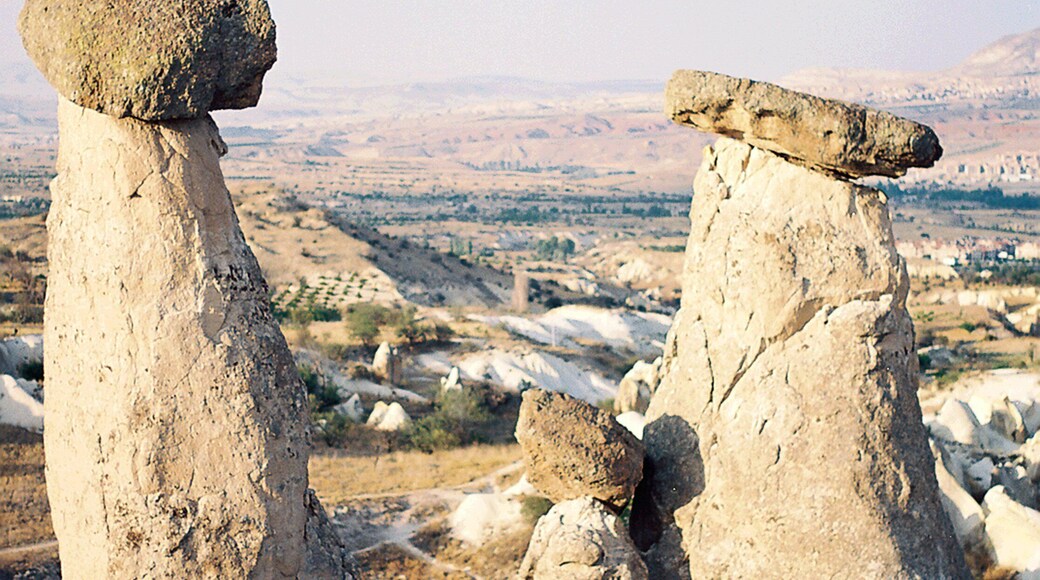 0_3422c3cd-76e8-4661-9b0c-1c10a34322f9_raw