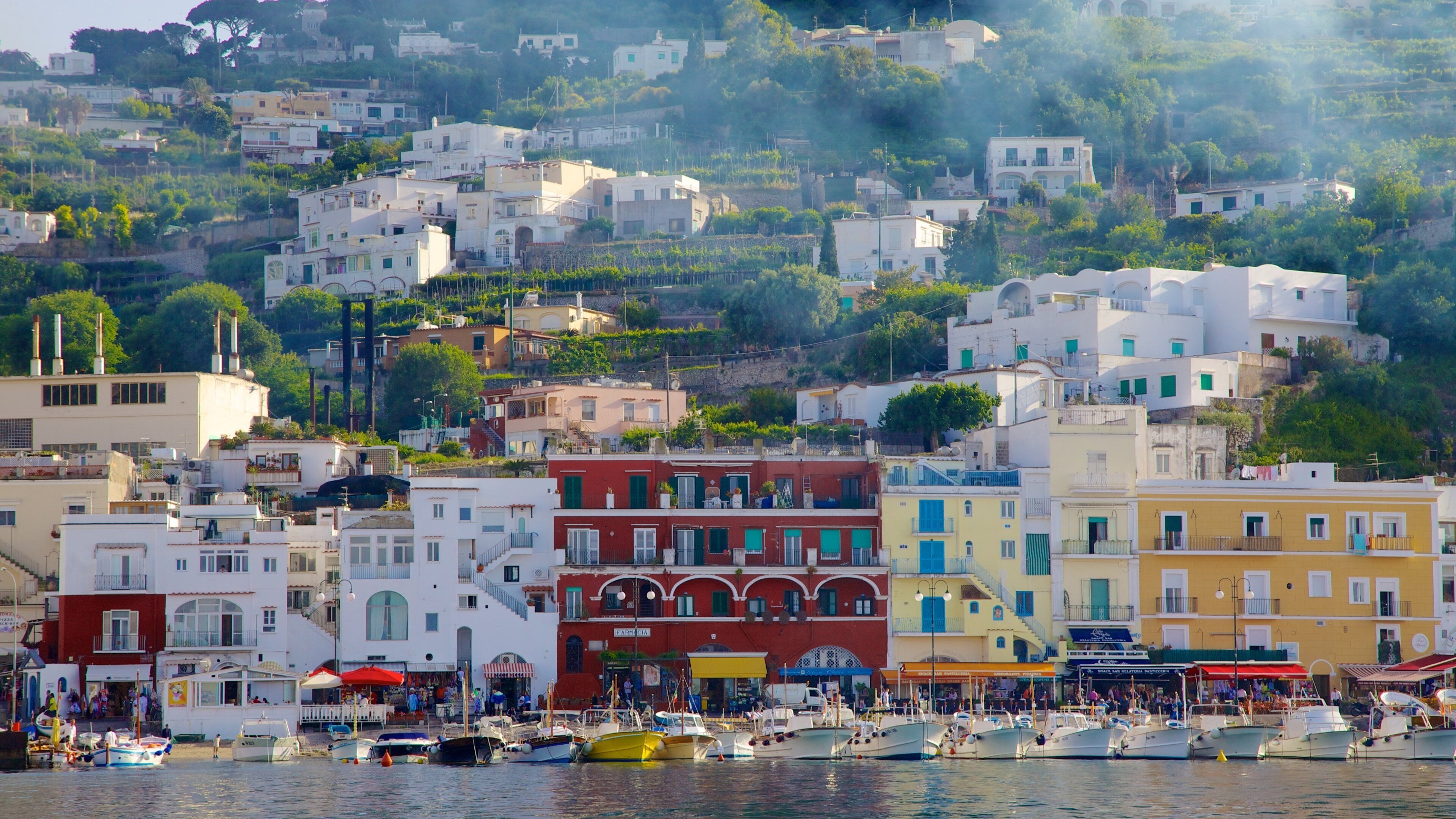 Capri Island showing a marina, boating and a coastal town