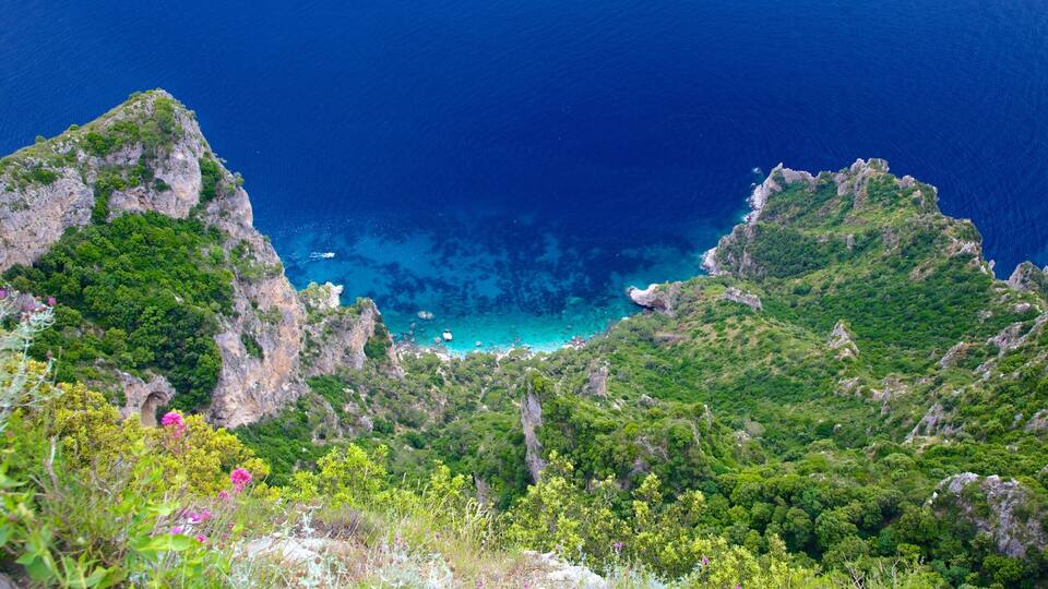 A coastal landscape with rugged cliffs, dense greenery, and clear blue waters.