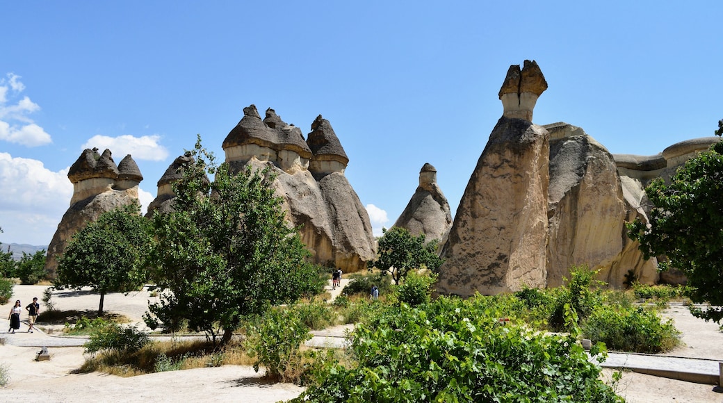 Pasabag or Monk's valley in the Cappadocia region is famous for its fairy chimneys, unique rock formations that look like they have a hat at the top. The erosion slowly leads to certain 'hats' falling off and it's always safe to be aware of the rock you're posing below!