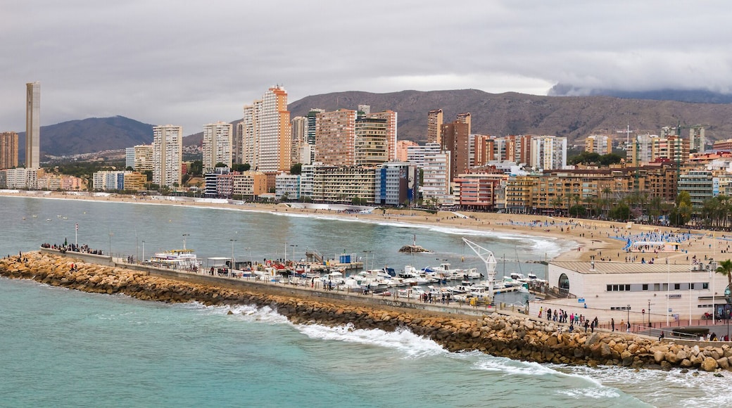 Panoramic view of the Poniente beach in Benidorm with its skyscrapers facing the sea from the Balcon del Mediterraneo and tourist boat