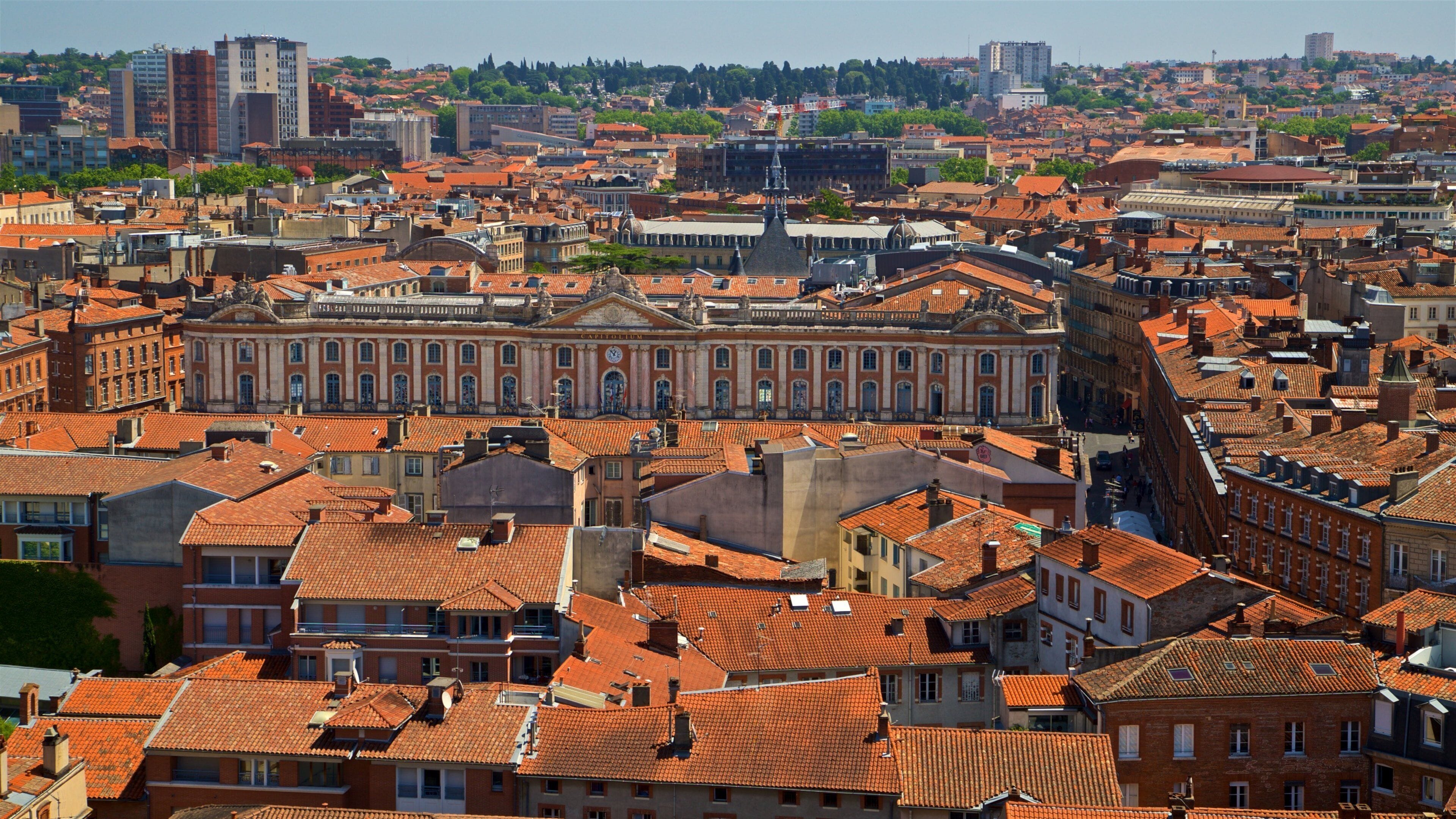 Church of the Jacobins featuring a city and landscape views