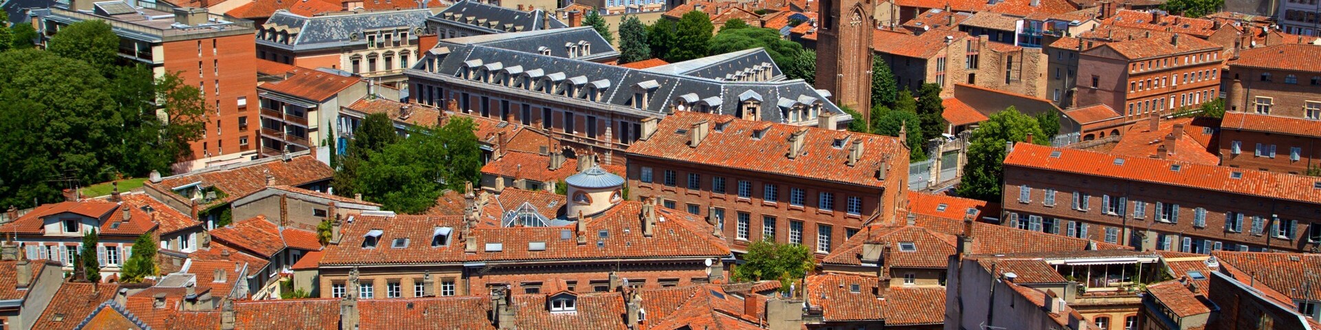 Church of the Jacobins which includes a city and landscape views