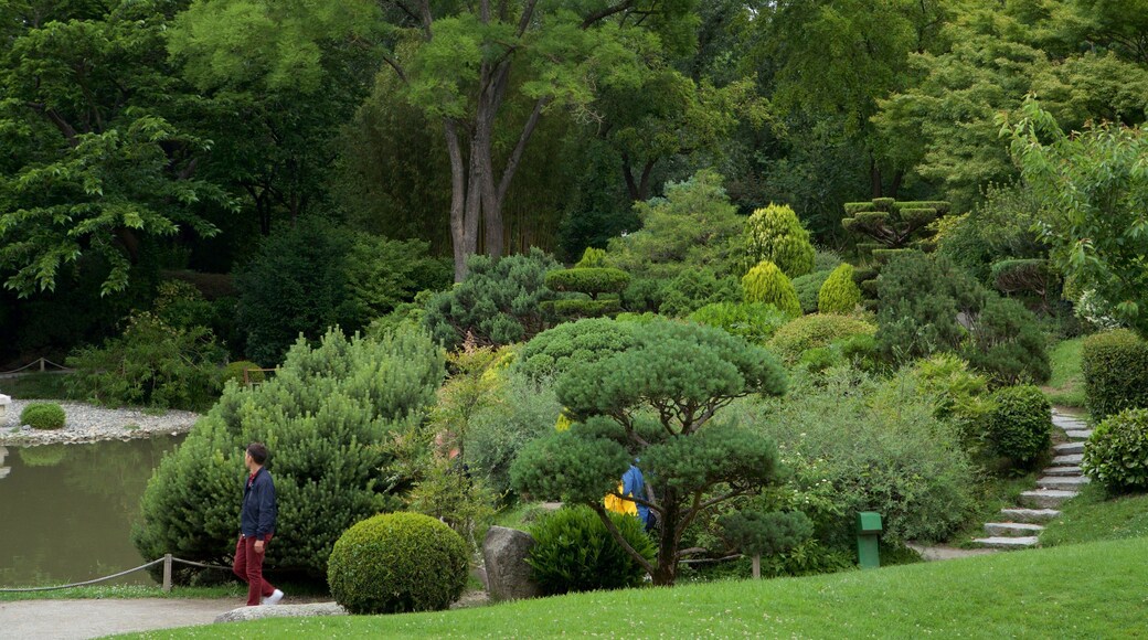 土鲁斯日本花园
