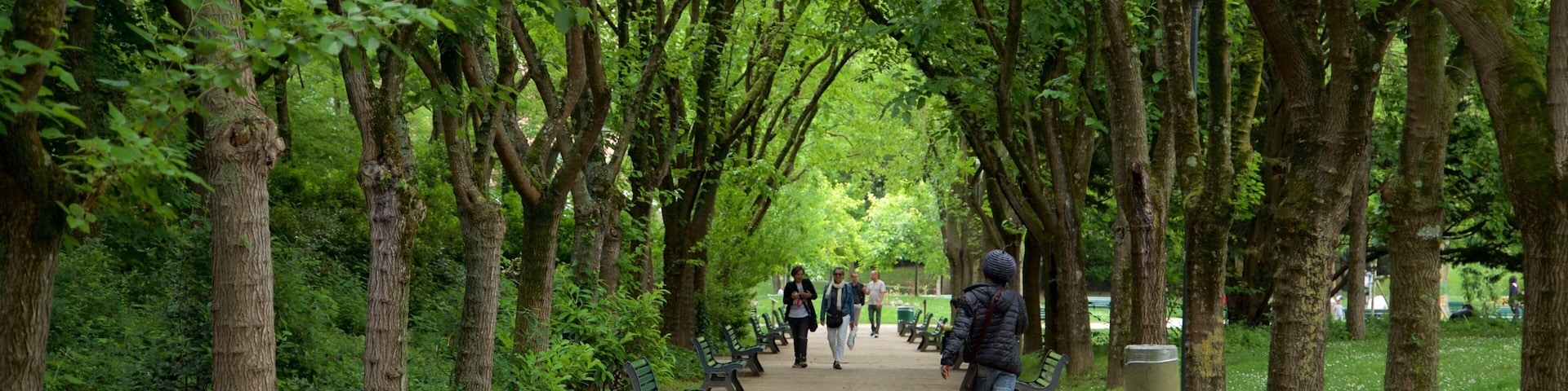 Un sendero arbolado con bancos y personas caminando.