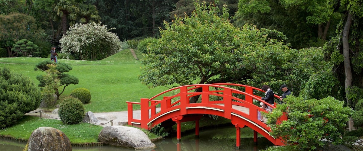 Jardín Japonés de Toulouse que incluye un jardín, un estanque y un puente