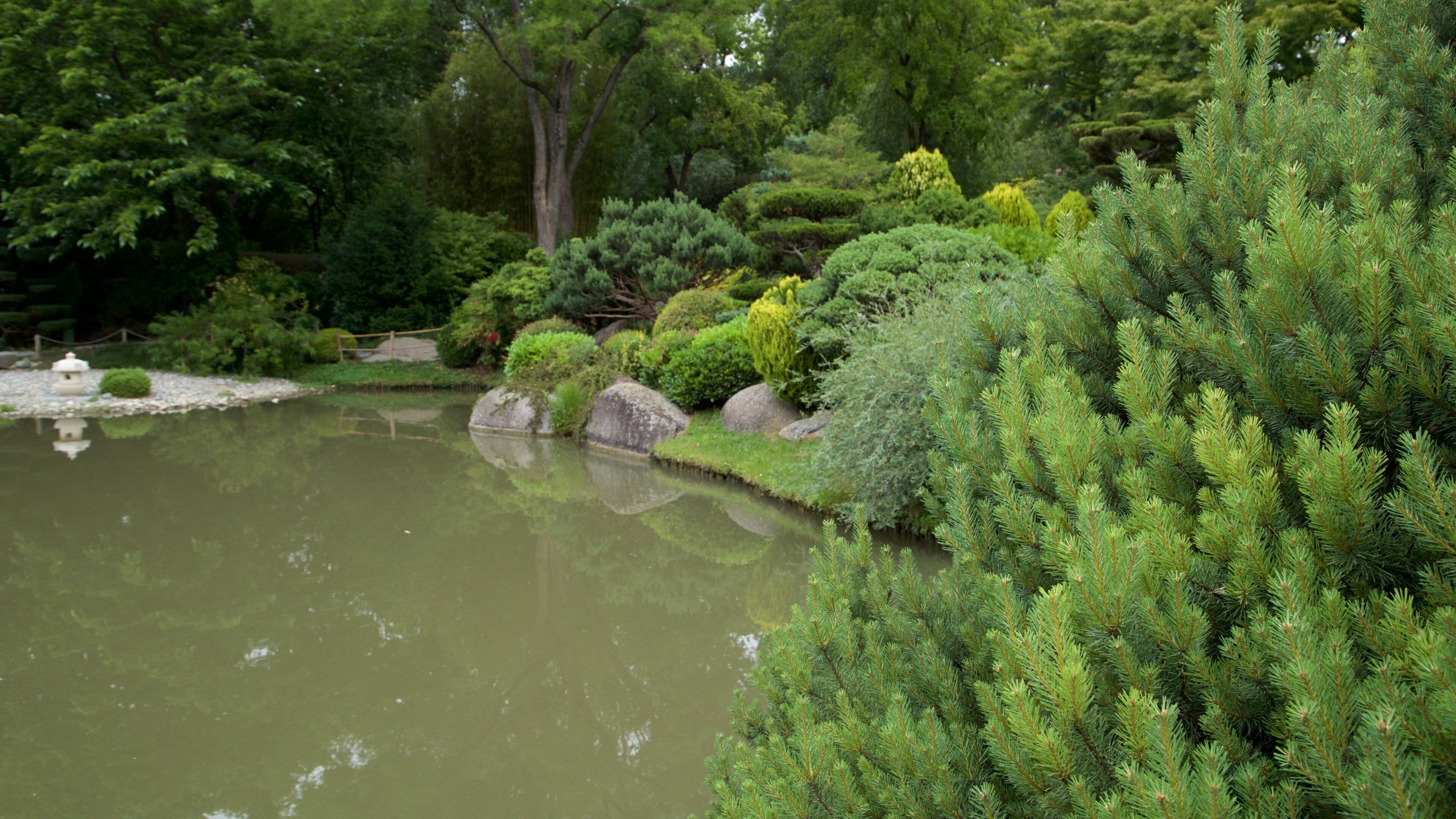 Jardin japonais de Toulouse montrant jardin et mare