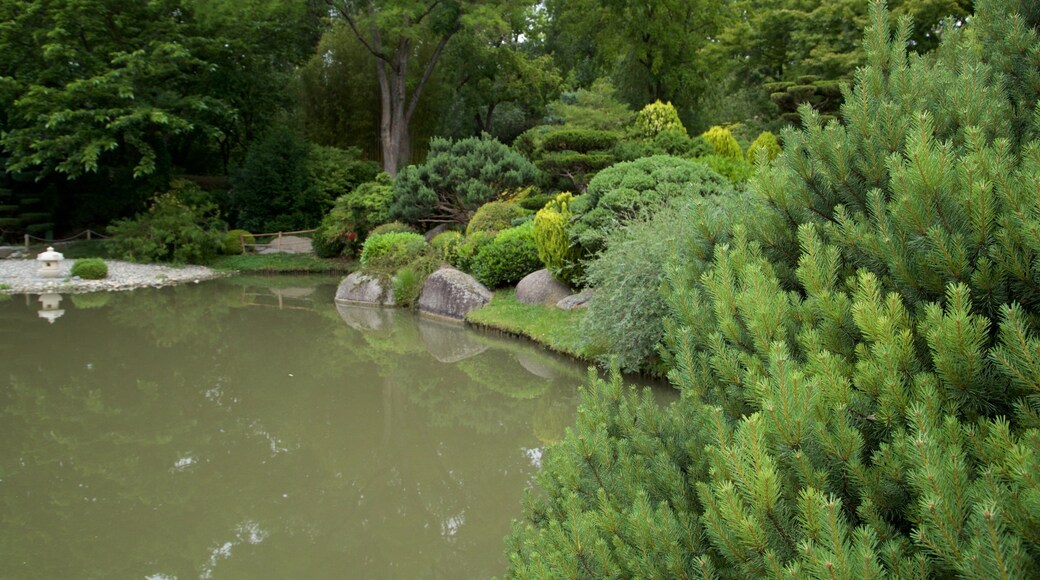 Jardin japonais de Toulouse montrant jardin et mare