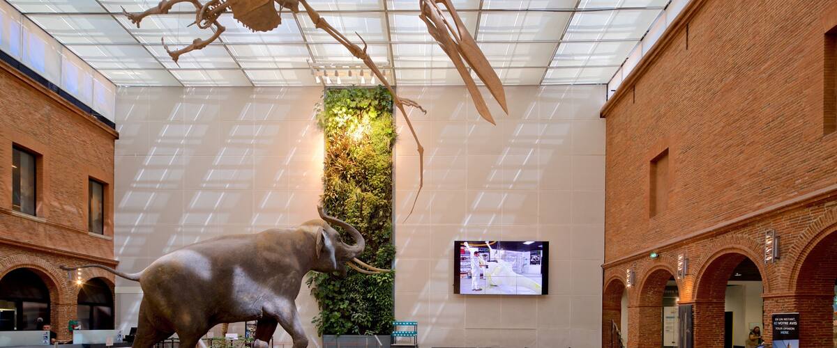 Museum of Toulouse showing interior views