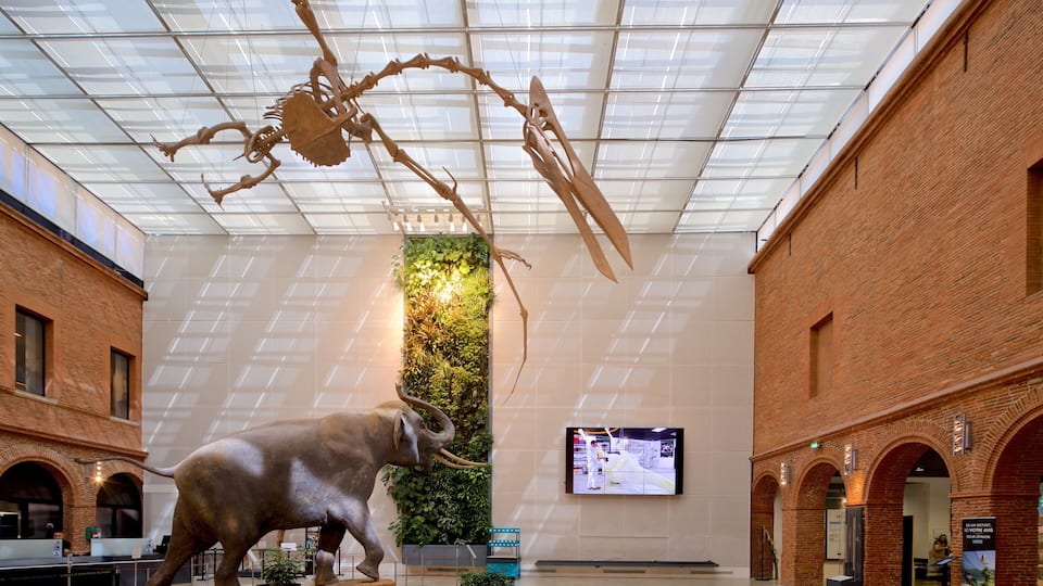 Museum of Toulouse which includes interior views