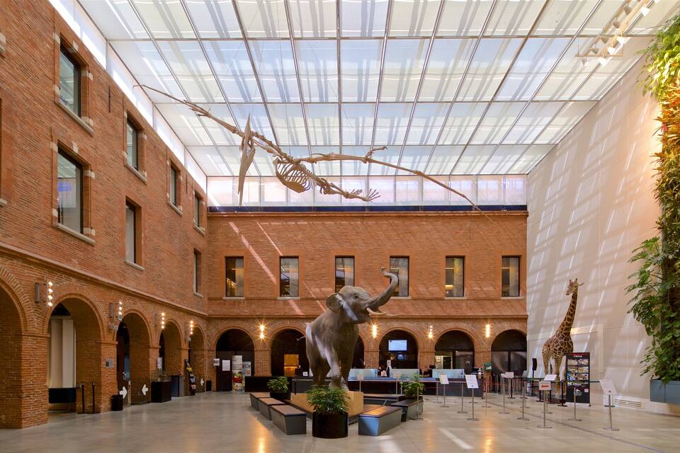Un intérieur spacieux avec un plafond haut, des murs en briques et une sculpture centrale représentant un éléphant.