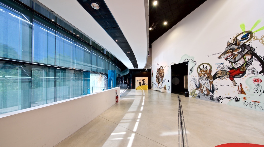 Museum of Toulouse showing interior views and art