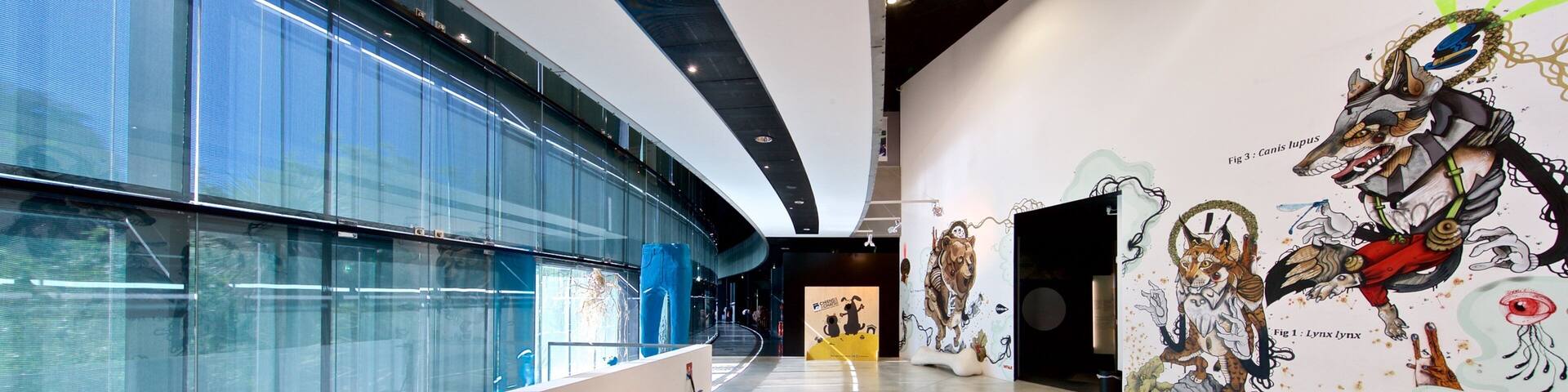 Muséum de Toulouse welches beinhaltet Innenansichten und Kunst