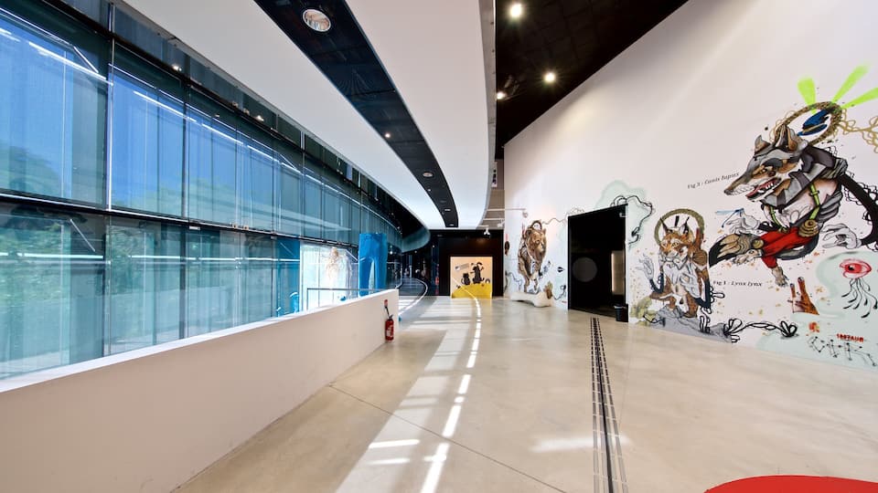 Museum of Toulouse showing interior views and art