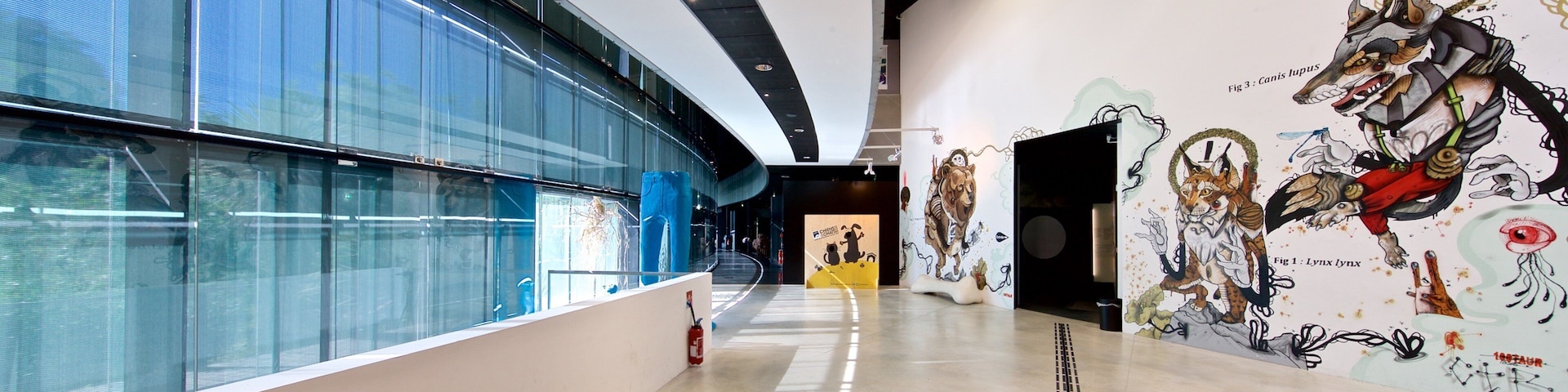 ํด๋ฃจ์ฆ ๋ฐ๋ฌผ๊ด ์ด ํฌํจ ์ค๋ด ์ ๊ฒฝ ๊ณผ ์์