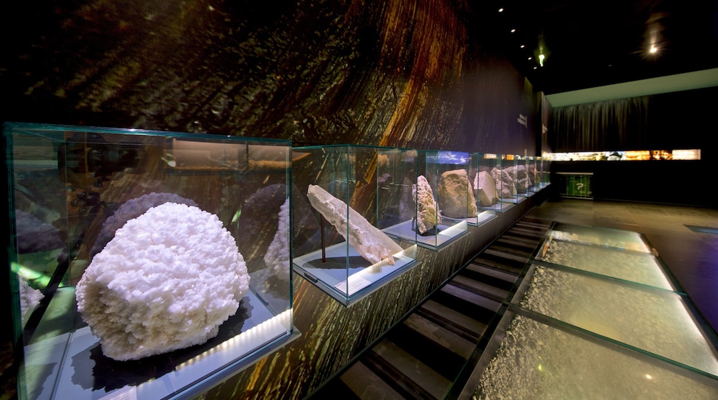 Museum of Toulouse showing interior views