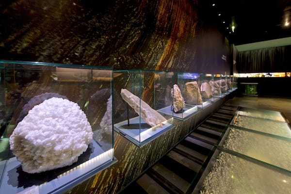 Muséum d\'histoire naturelle de Toulouse mettant en vedette vues intérieures