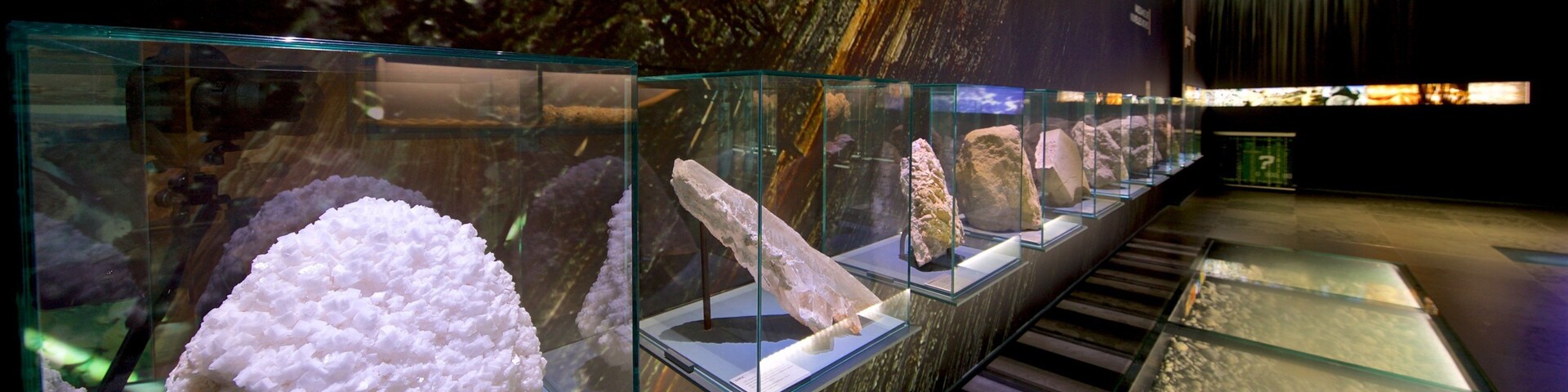 Museum of Toulouse featuring interior views