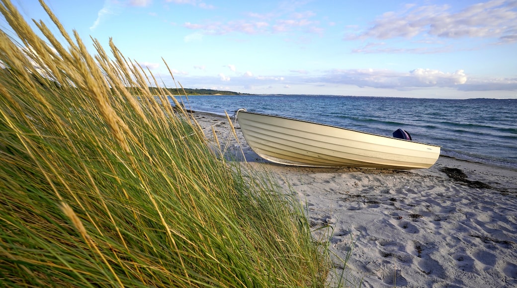 Danish Beach with Boat