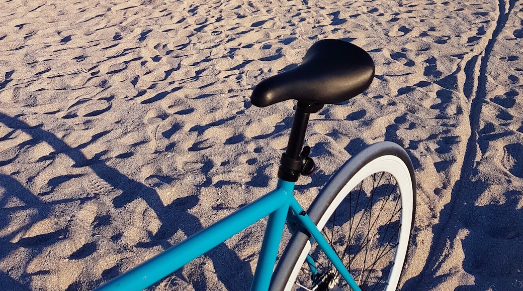 Bike rides to Haulover Beach are everything this summer. You don't have to worry about parking and you get to enjoy the ride. #BVSBlue