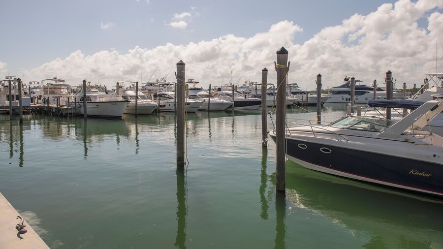 MiamiBeach_HauloverParkMarina_6157965-0271