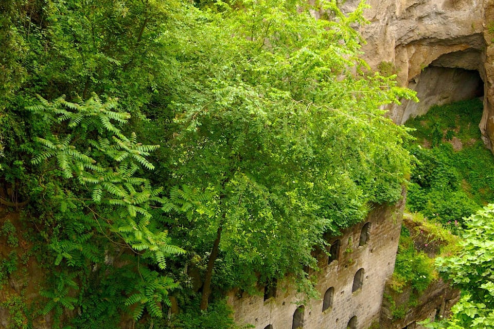 Une falaise verdoyante, couverte d’une végétation luxuriante, avec une entrée de grotte.
