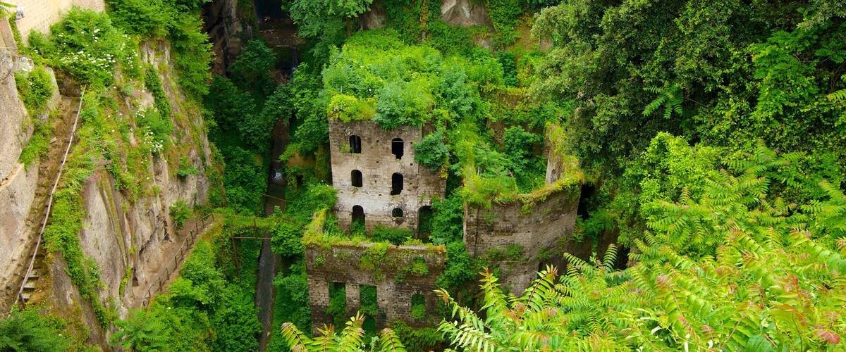 Deep Valley of the Mills featuring a park, a ruin and heritage architecture