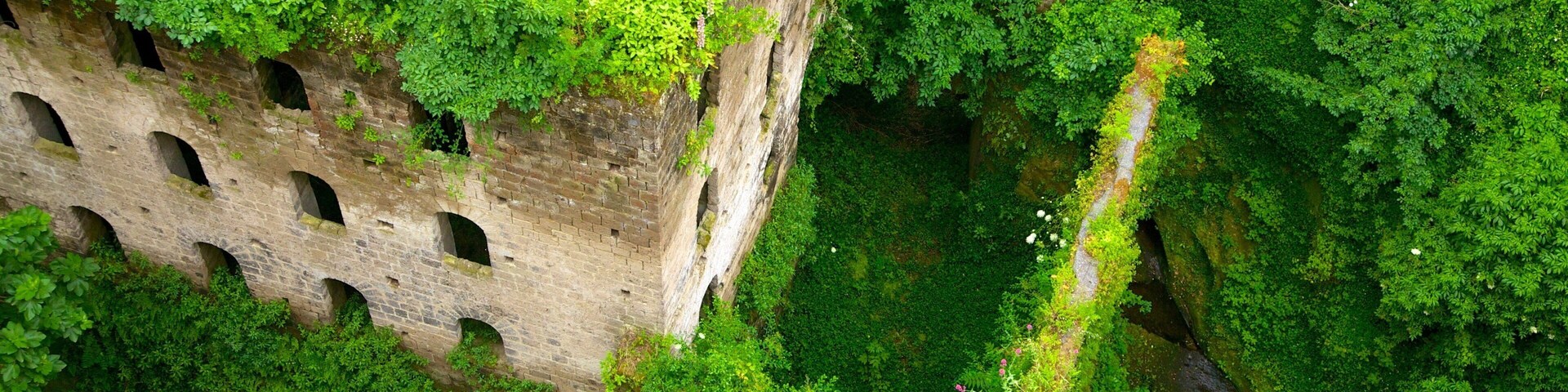 Deep Valley of the Mills showing heritage elements, tropical scenes and a ruin