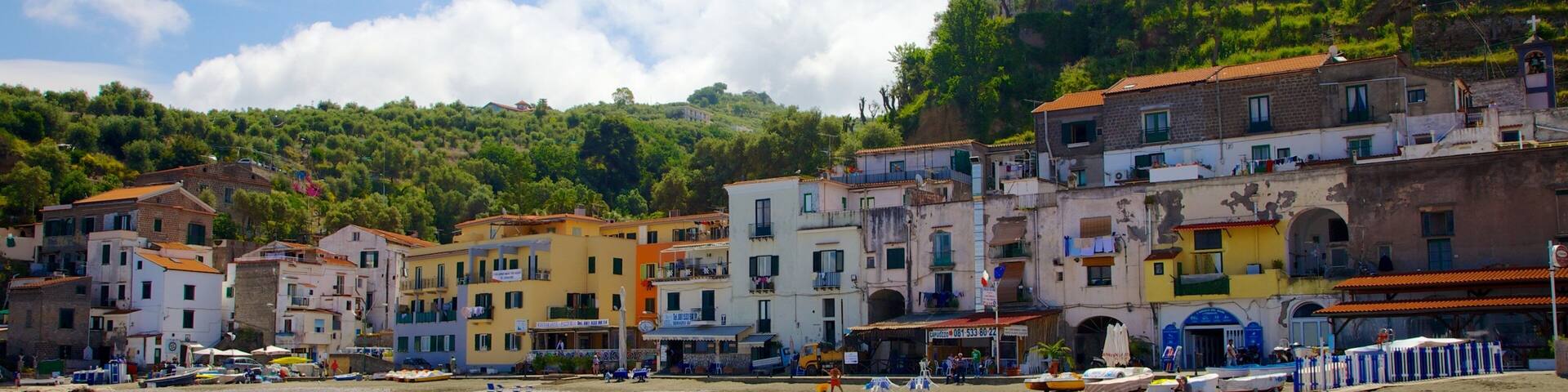A coastal town with colorful buildings, a beach, and a hillside with trees.