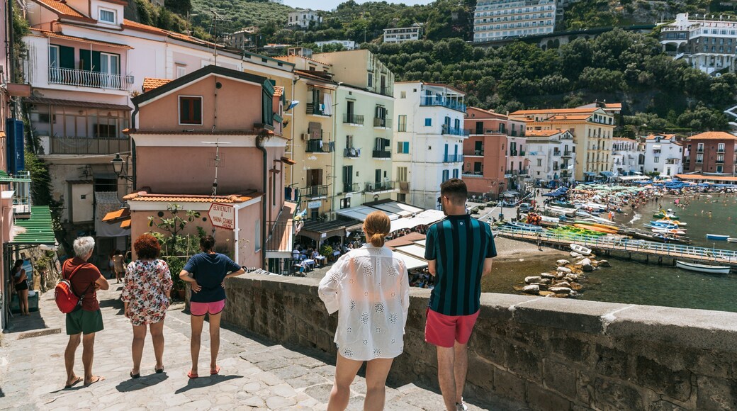 Sorrento Beach which includes a coastal town, street scenes and a bay or harbor