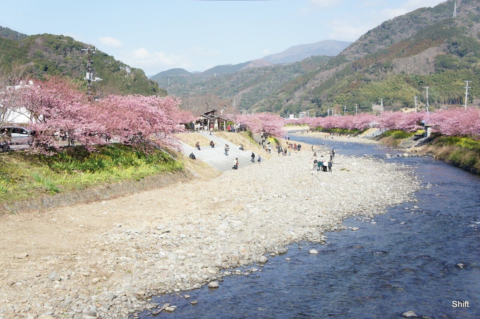 A river with people walking along the banks, surrounded by cherry blossoms and mountains in the background.